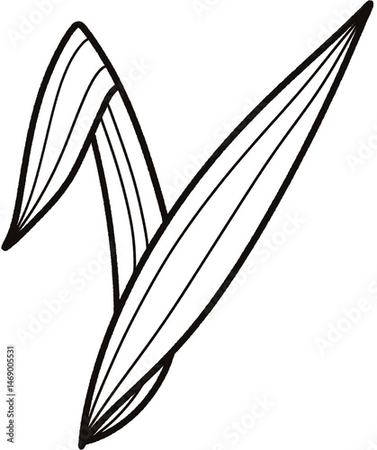 Leaf Doodle