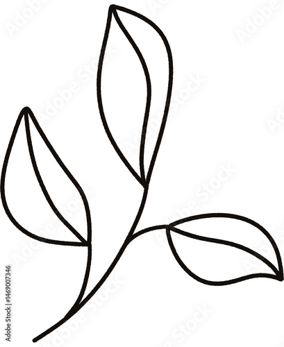 Leaf Doodle