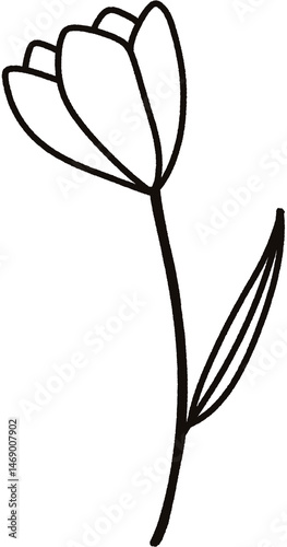 Flower Doodle
