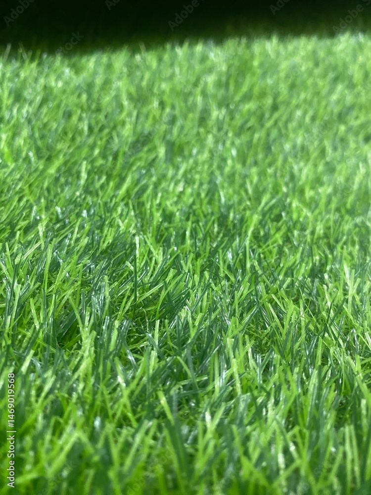 green grass background green grass background