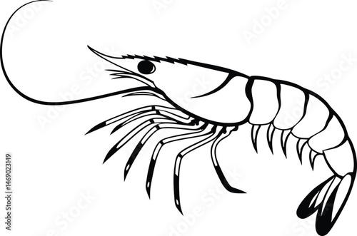 Black silhouette of a shrimp with long antennae, detailed illustration of marine crustacean.