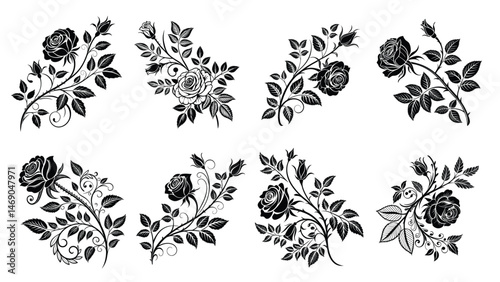 Floral design elements with black and white vector