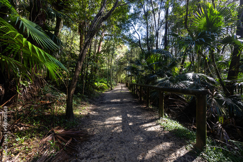 Beautiful walking path into the bushland area.
