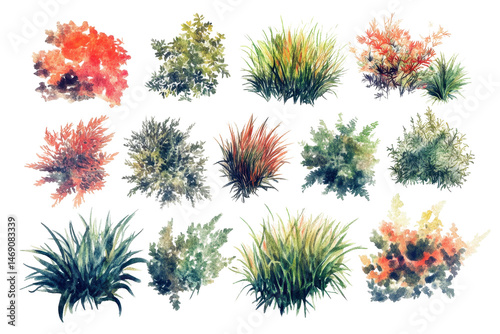 Set of top view watercolor grass bushes in transparent png isolated on clean white background