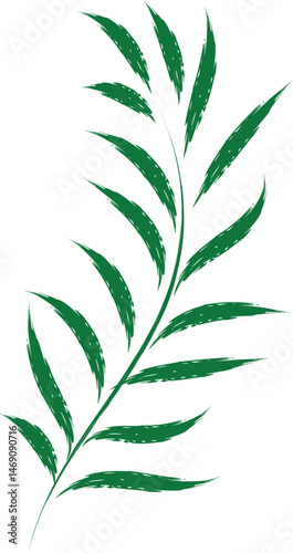 cannabis leaf vector