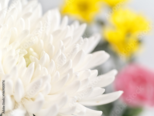 仏花(菊、シマカンギク、カーネーション)