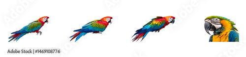 Vibrant Scarlet Macaw Bird Grouping, Cut Out Transparent
