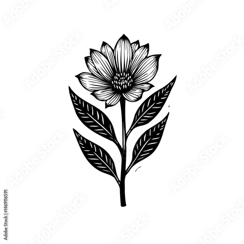 Elegant hand-drawn floral design in black and white isolated on a white canvas