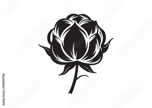 Cotton Flower Silhouette Vector