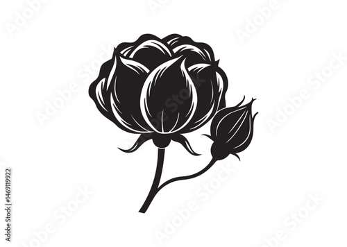 Cotton Flower Silhouette Vector