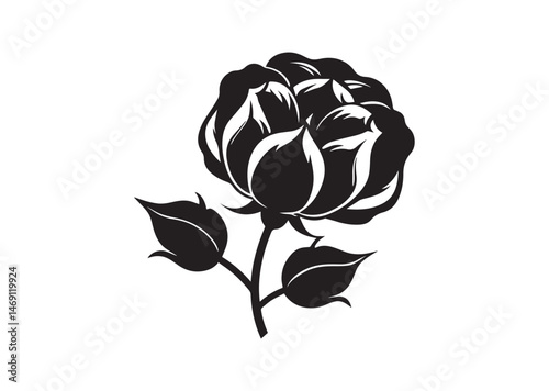Cotton Flower Silhouette Vector