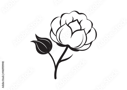 Cotton Flower Silhouette Vector