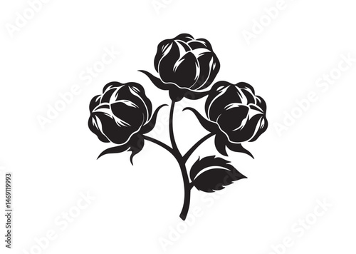 Cotton Flower Silhouette Vector