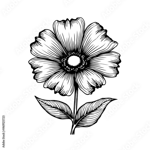 Detailed botanical illustration of a flower with intricate line work and shading