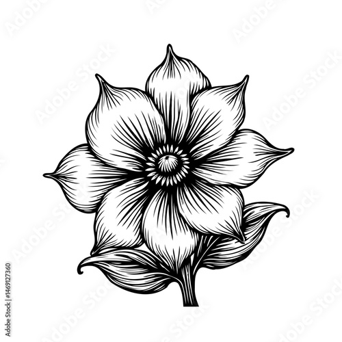 Monochrome botanical illustration of an elegant flower with delicately patterned petals