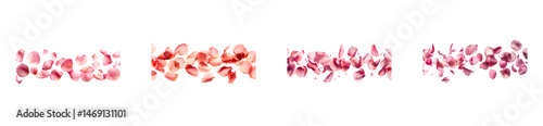 Wallpaper Mural Rose Petal Borders Set, Delicate Decoration, Isolated, Cut Out Transparent Torontodigital.ca