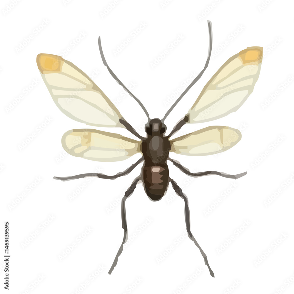 Fototapeta premium insect vector illustration