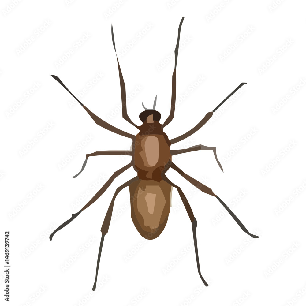 insect vector illustration insect vector illustration