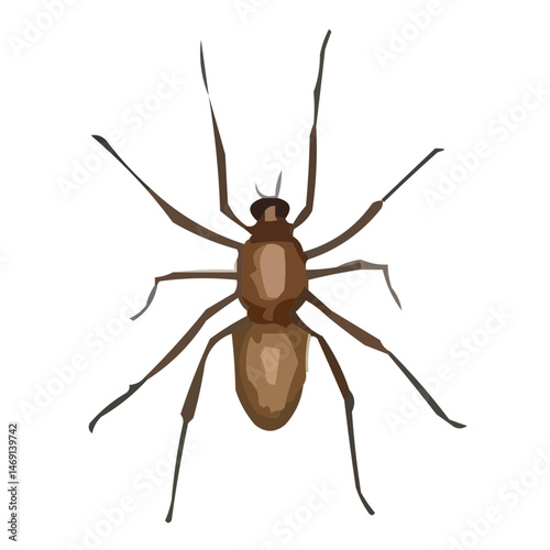 insect vector illustration