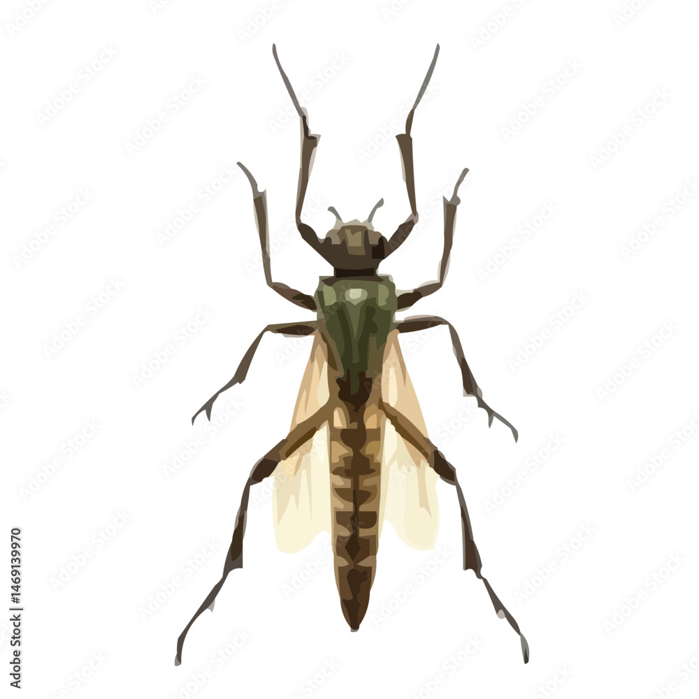 Fototapeta premium insect isolated on white