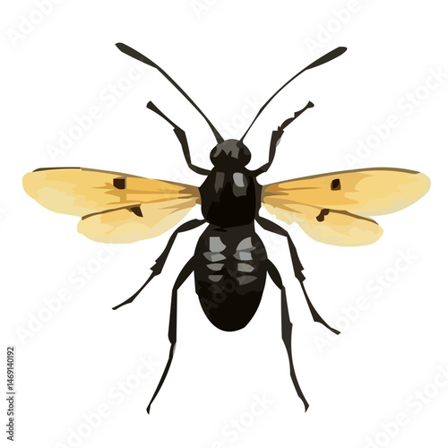 vector illustration of a wasp