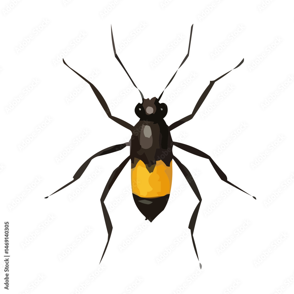Fototapeta premium vector illustration of a bug