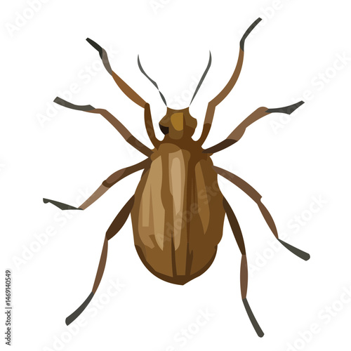 insect vector illustration