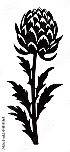 Artichoke Plant Vegetable Illustration