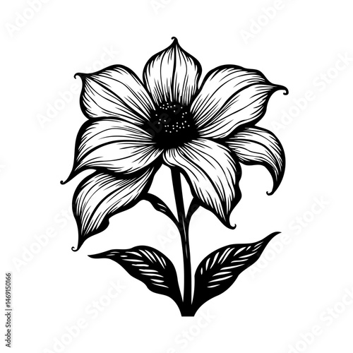 Intricate floral illustration featuring bold lines and delicate shading details