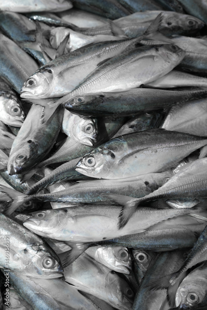 Fototapeta premium The market for marine fish. Street market. Sale of fresh fish. Freshly caught fish. Fish shop. Products for the restaurant. Fishery. Asian cuisine. Seafood. Healthy diet. Fisherman. Catch. Fresh food