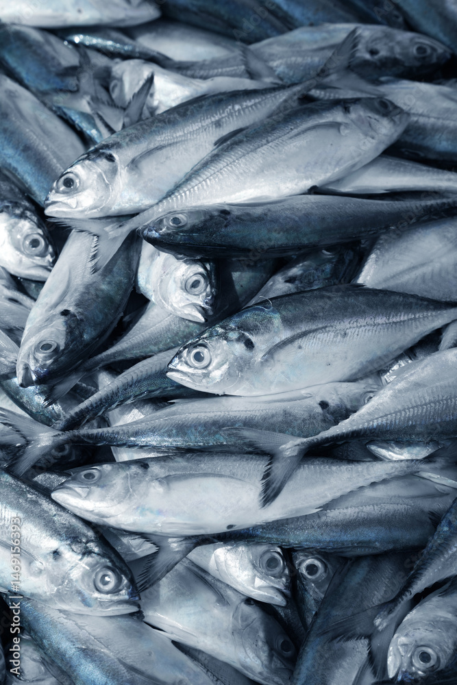 Fototapeta premium The market for marine fish. Street market. Sale of fresh fish. Freshly caught fish. Fish shop. Products for the restaurant. Fishery. Asian cuisine. Seafood. Healthy diet. Fisherman. Catch. Fresh food