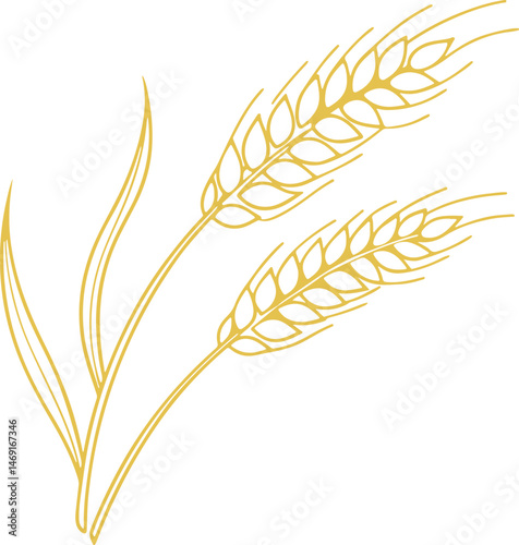 Golden Wheat Stalks Vector Illustration