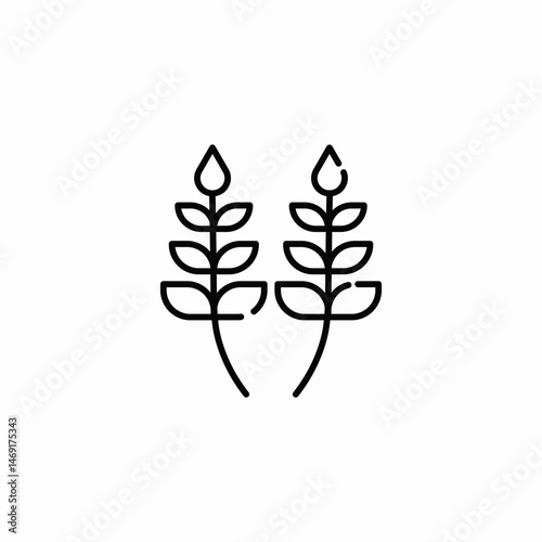 wheat stalks icon sign vector