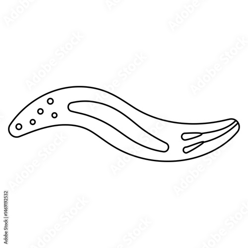 Sporozoite
