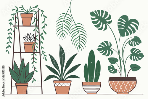 47 house plant, potted plants, indoor houseplants, succulent plants, hanging plants, cacti, ferns, herbs, vines, flower pots, terracotta pots, ceramic pots, plant collection, botanical illustration, p