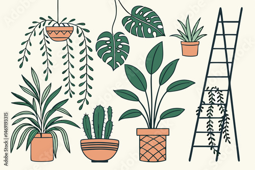 47 house plant, potted plants, indoor houseplants, succulent plants, hanging plants, cacti, ferns, herbs, vines, flower pots, terracotta pots, ceramic pots, plant collection, botanical illustration, p