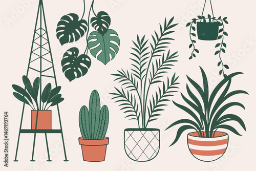 47 house plant, potted plants, indoor houseplants, succulent plants, hanging plants, cacti, ferns, herbs, vines, flower pots, terracotta pots, ceramic pots, plant collection, botanical illustration, p