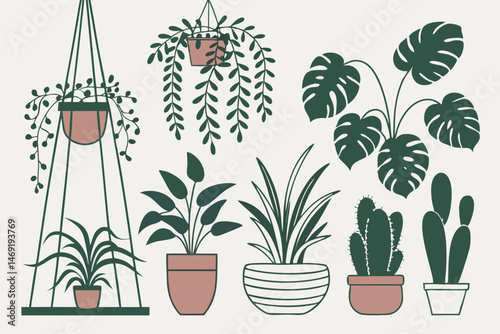 47 house plant, potted plants, indoor houseplants, succulent plants, hanging plants, cacti, ferns, herbs, vines, flower pots, terracotta pots, ceramic pots, plant collection, botanical illustration, p