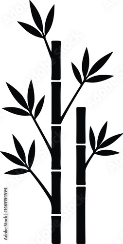 bamboo leaves on black