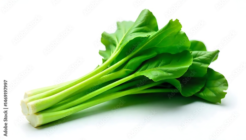Fresh choy sum vegetable on white background Fresh choy sum vegetable on white background