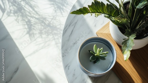 Obraz na płótnie Top view of green plant in ceramic pot casting shadow on white marble textured surface w salonie