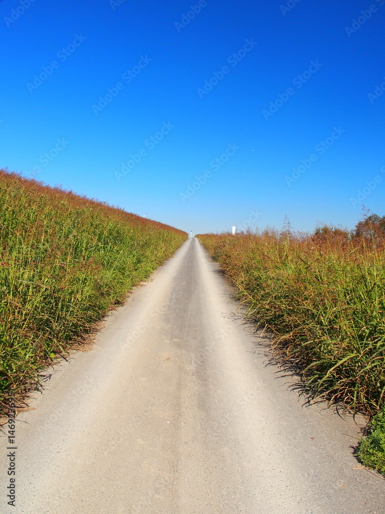 Naklejka premium 土手のサイクリングロードに続く秋の江戸川河川敷の坂道風景