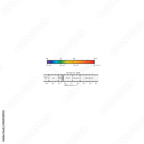 Electromagnetic Spectrum Diagram Showing Wavelength and Frequency with Expanded Visible Light Region and Color Bands – Linear Scale Representation