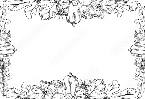 Gooseberry ripe garden berries, bell flower buds leaves. Currant casseille huckleberry jostaberry hand drawn in vector ink. Isolated corner border frame illustration. Wedding stationery, florist shop