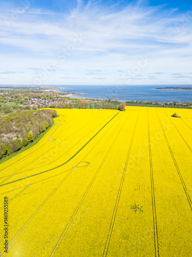 Aerial View of Rapeseed Field and Greifswalder Bodden with Wieck / Greifswald in the background