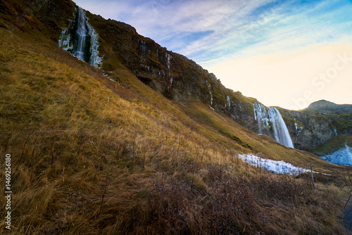 seljalandsfoss waterfall and yellow field grass on sun light , Iceland ladscape landmark travel.