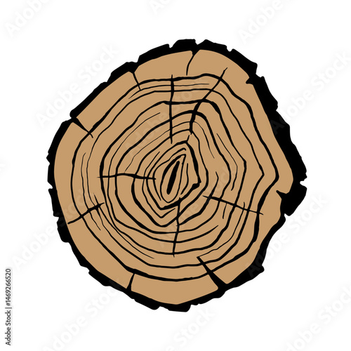 Wood slice icon vector. Wood rings illustration sign. Tree symbol. Sawmill logo.