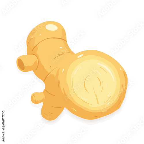 Ginger Root Vector Illustration on White Background for Healthy Eating Blogs, Culinary Websites, Nutritional Articles, and Cooking Education Materials