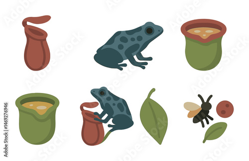 Rainforest nature icons set – flat, filled, wildlife and conservation symbols