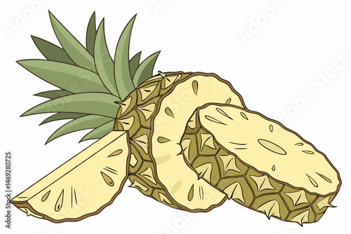Fresh Pineapple Slices with Green Leaves Illustration